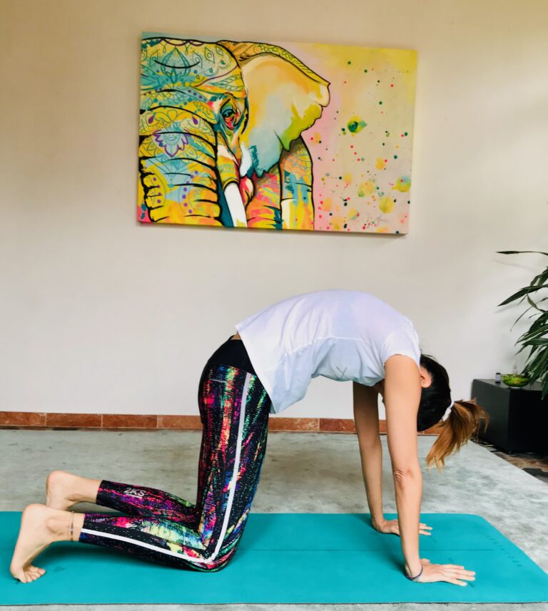 Mujer latina haciendo la postura de yoga del gato