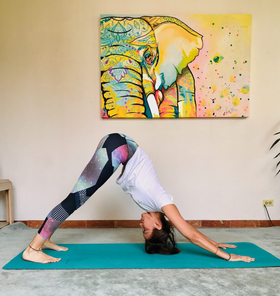 Mujer latina haciendo la postura de yoga de perro que mira hacia abajo / downdog ó Adho Mukha Svanasana